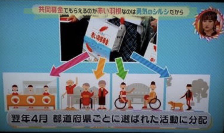 chami_moku's tweet photo. NHKは数年前から人気番組を使って赤い羽根共同募金のキャンペーンをしていました。

共催者NHKの寄付金の使い道は寄付をした都道府県内で暮らす、生活困窮者、高齢者、障がい者、子どもたちの支援や災害被災者支援などに役立てられる、という事ですが、
クルド人擁護のスペシャル番組を作ったりしてたから、最初から外国人も救済の対象だったのでしょうか…難民と偽り日本人に迷惑かける人達を救う為の募金とは？