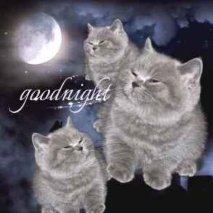 kakatuns's tweet photo. Buenas noches https://t.co/2oWXmTrEwB