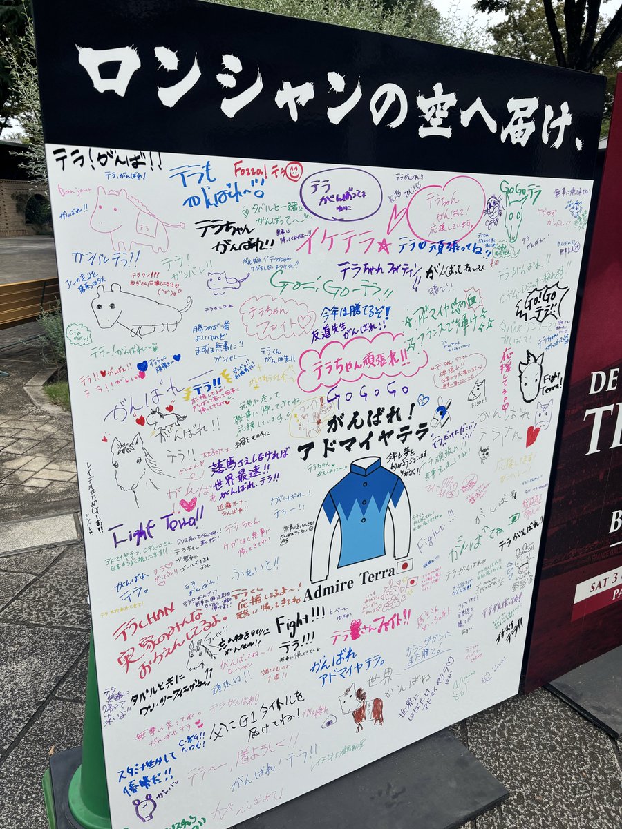 DedennePikachu's tweet photo. やっぱ現地いるならがんばれ馬券買わないとね！！ってことで、明日のレースのがんばれ馬券購入！

そして、テラへのメッセージ書いてきました🩵

#東京競馬場
#アドマイヤテラ https://t.co/7U78ehNdjV