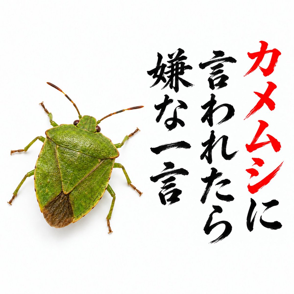 boketezizou's tweet photo. 【お題】

カメムシに言われたら嫌な一言 https://t.co/BVLgftUzhy