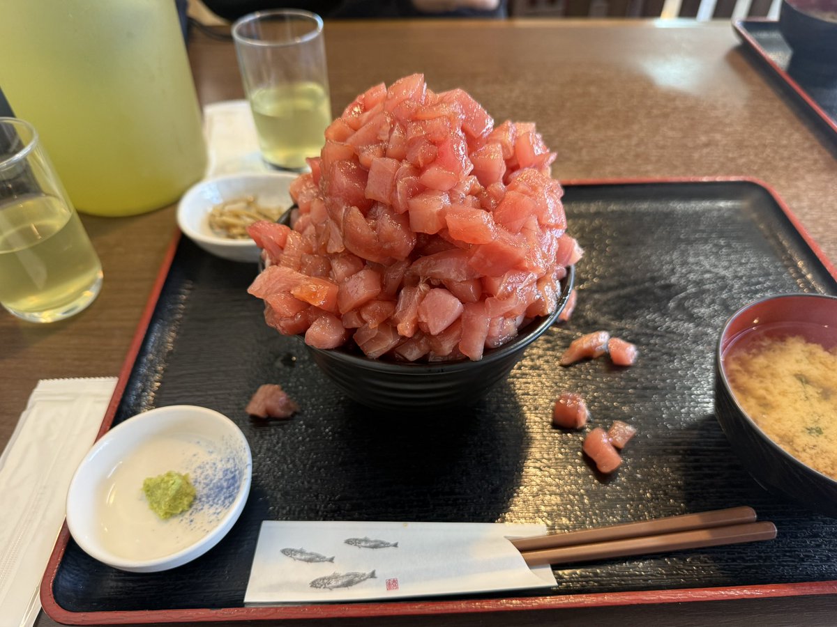 SkyX105's tweet photo. 静岡をぷち観光！
エグい量のマグロ丼！
日本平の展望台で富士山を眺めて
東照宮を見て
サウナしきじ
に行って大満足でしたわ https://t.co/Xm9ydSW6Hz