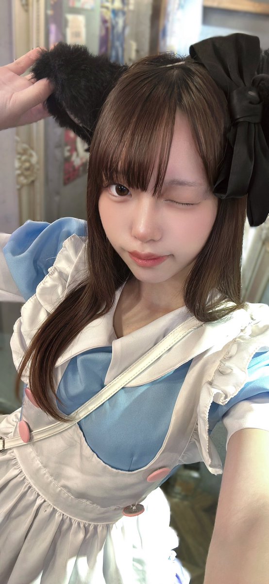 yunamanoanison's tweet photo. アニソンメイドカフェユナマノミニ三軒茶屋店10月3日(土)のお給仕メイドさん❣️

すばる     14-5      @Subaruuu_sky
ゆなたま19-22   @ynmn_tama
うりりん 19-22   @urrn3232
 
ポイントカードがアプリへ‼️
ご帰宅お待ちしております🐈‍⬛✨ https://t.co/ODDUEvkY3A