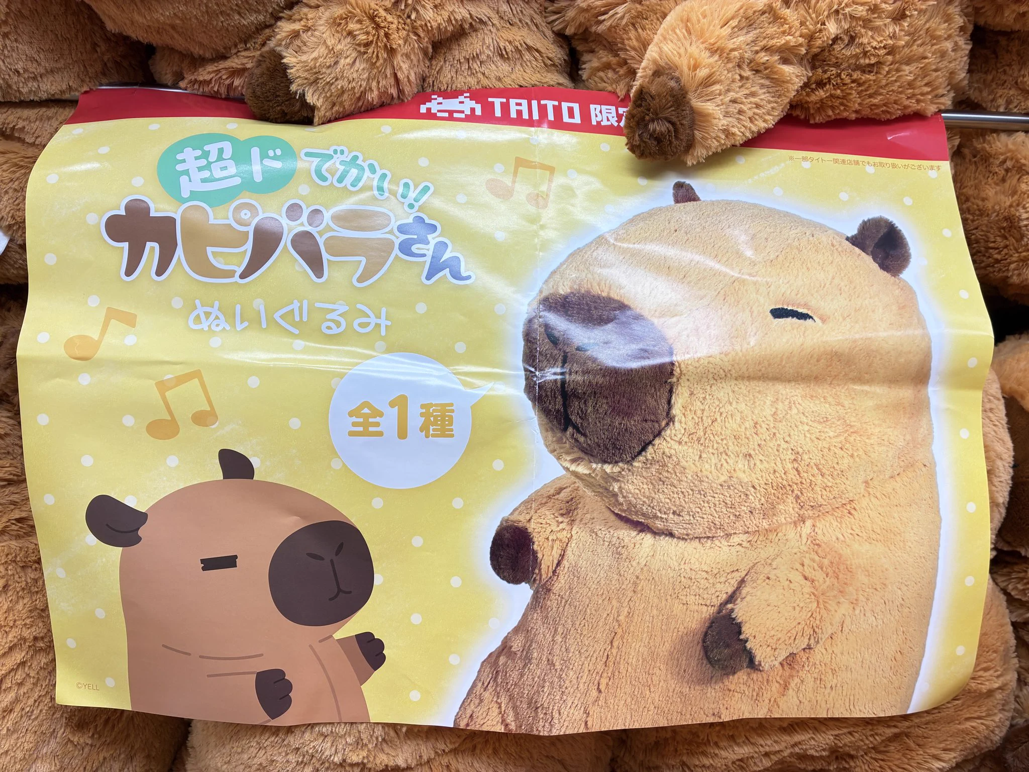 超ドでかい！カピバラさんぬいぐるみ タイステ旭店 on X: 
