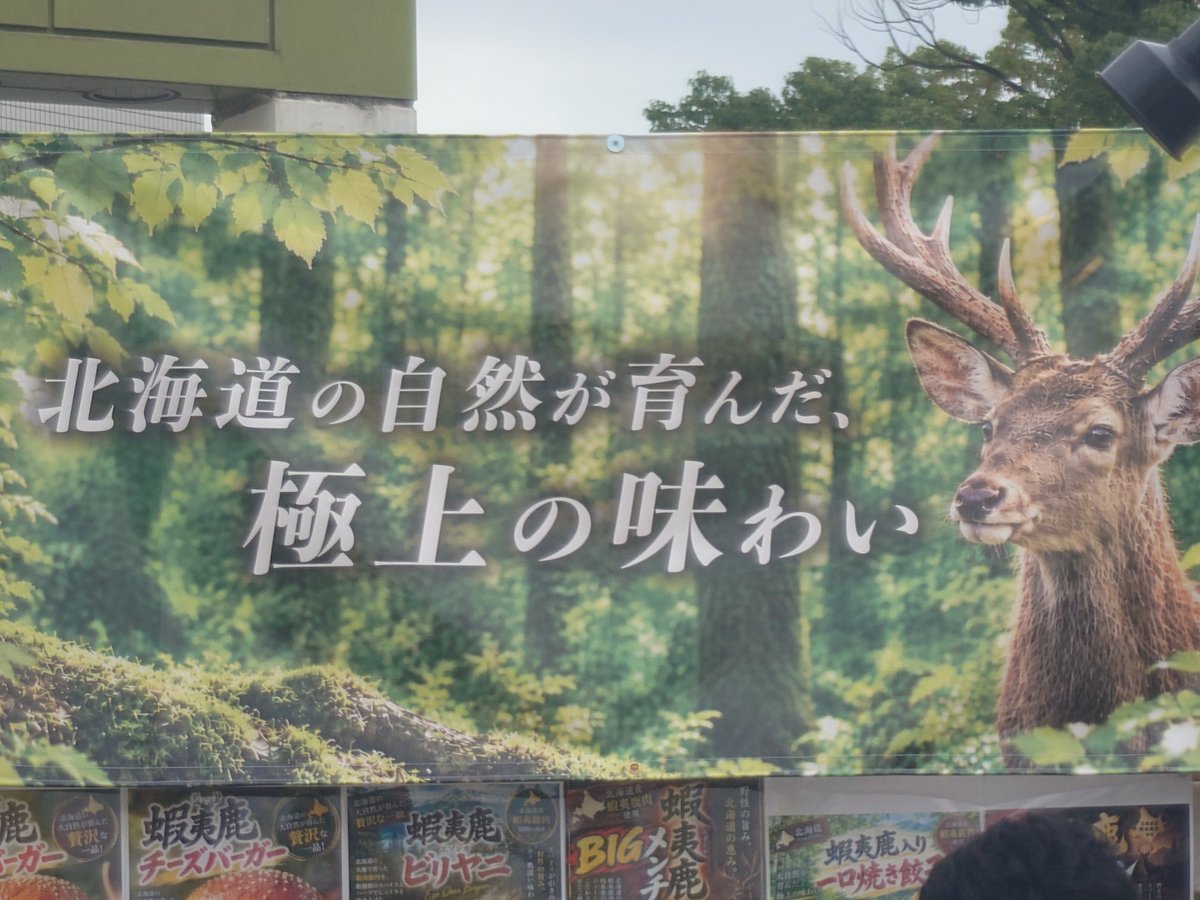 kumapopo's tweet photo. https://t.co/xiAga9fXQM