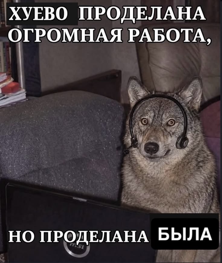 TanyCMova's tweet photo. https://t.co/7MYJw6h6eq