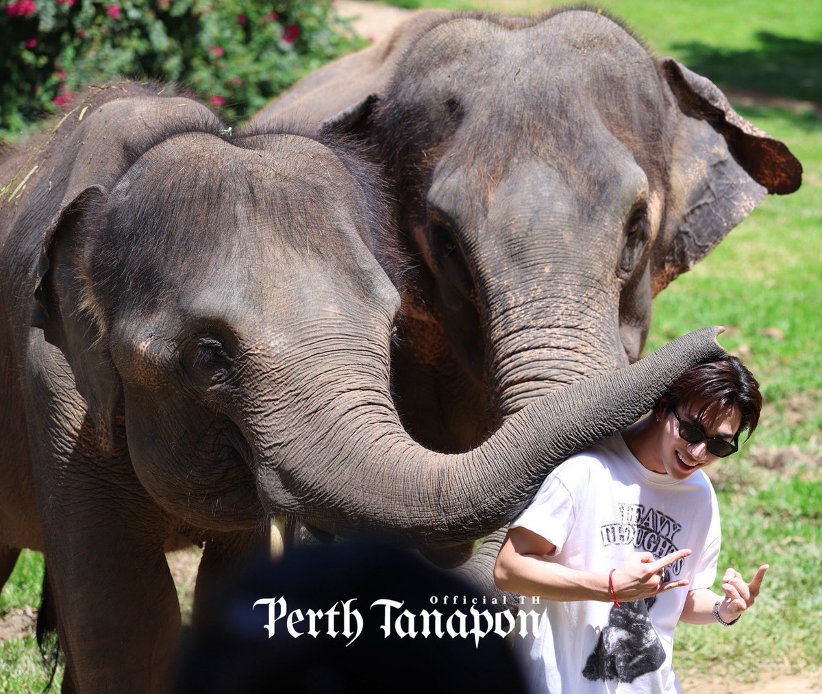 PerthOfficialTH's tweet photo. พี่ช้างรักพี่เพิ้ดมาก 😂

PERTH PAIAEW CHIANGMAI

#DrAllyinCNXwithPerth 
#PerthTanapon #KDPPE https://t.co/xQSxZDlzWW