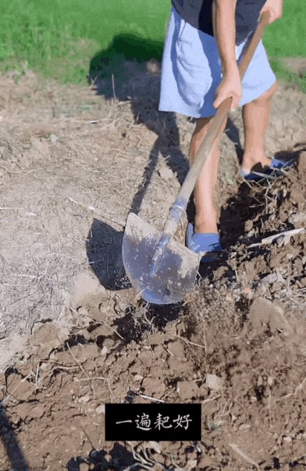 hykang0712's tweet photo. Using the weeding rake on the farm to clear the land right now.， https://t.co/ePIfVeMxAW