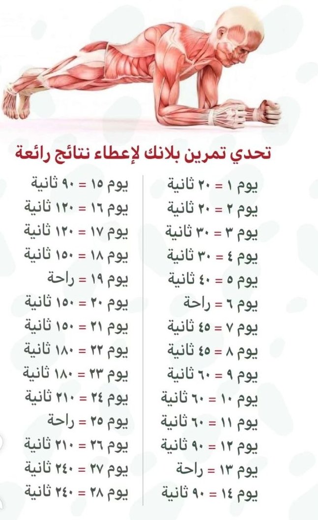 wael98_g's tweet photo. تمرين البلانك مهم جدا لكل شخص #٢٠٣٠_بلا_نقاب2 #YohjiYamamotoxKIMYOONSIK #gym #CevdetYılmaz #متابعه_ريوت_إعادة_تغريدة #محتوى https://t.co/H4ZGT28342