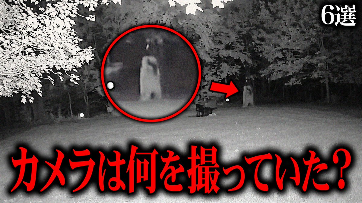Gon_Bougai's tweet photo. 🎥ただいま新作動画の編集が完了しましたｯｯ(*'▽')
今回のテーマは
『海外SNSで話題の不気味な映像』です。

夜の公園での奇妙な出会いから、
自宅の庭に入り込んだ正体不明の存在まで...

⏰ 本日 土曜日 21:00 プレミア公開予定です
https://t.co/U5Z93jhhja https://t.co/IhMP0zOZaG