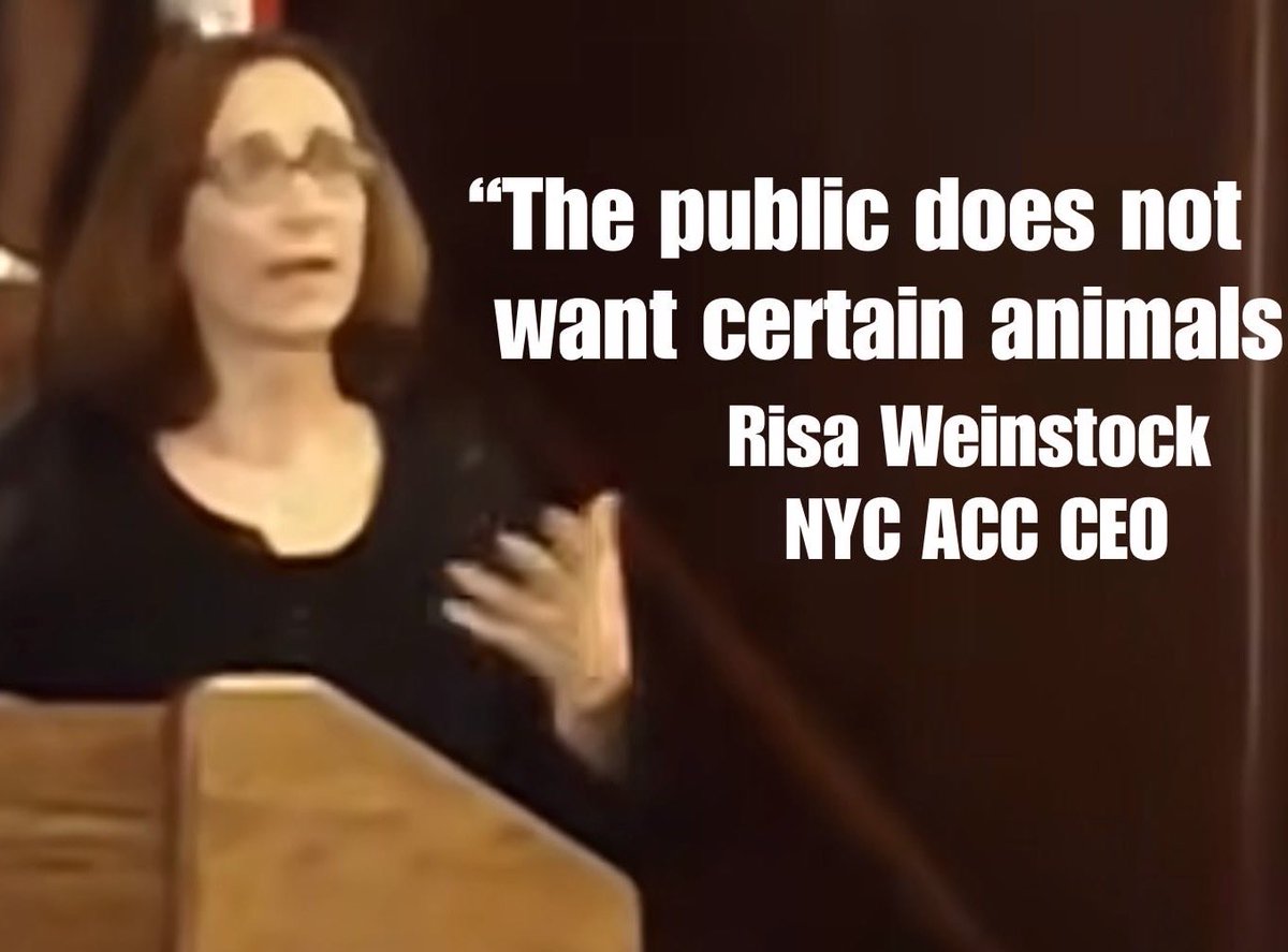 Wynjym's tweet photo. 🆘THIS #MURDER ORDER @NYCACC BY MANAGER RISA
#WEINSTOCK🆘THIS IS PUBLIC #TAXES STOLEN FROM THE #ANIMALS LIVING IN HORRIBLE CONDITIONS🆘A NEW
CARING TEAM NEEDED NOW‼️THESE PEOPLE ARE
DEPRAVED/#CORRUPT🆘
@GovKathyHochul @NYCMayor @NYCCouncil @Lynn4NYC @SpeakerMenin @NYCHealthCommr https://t.co/3kdW1789lx