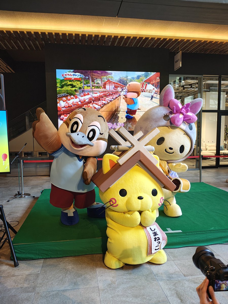 pepeco_pepepe's tweet photo. クぁーーー。
可愛い✨️✨️ https://t.co/1Q5sroWWsU