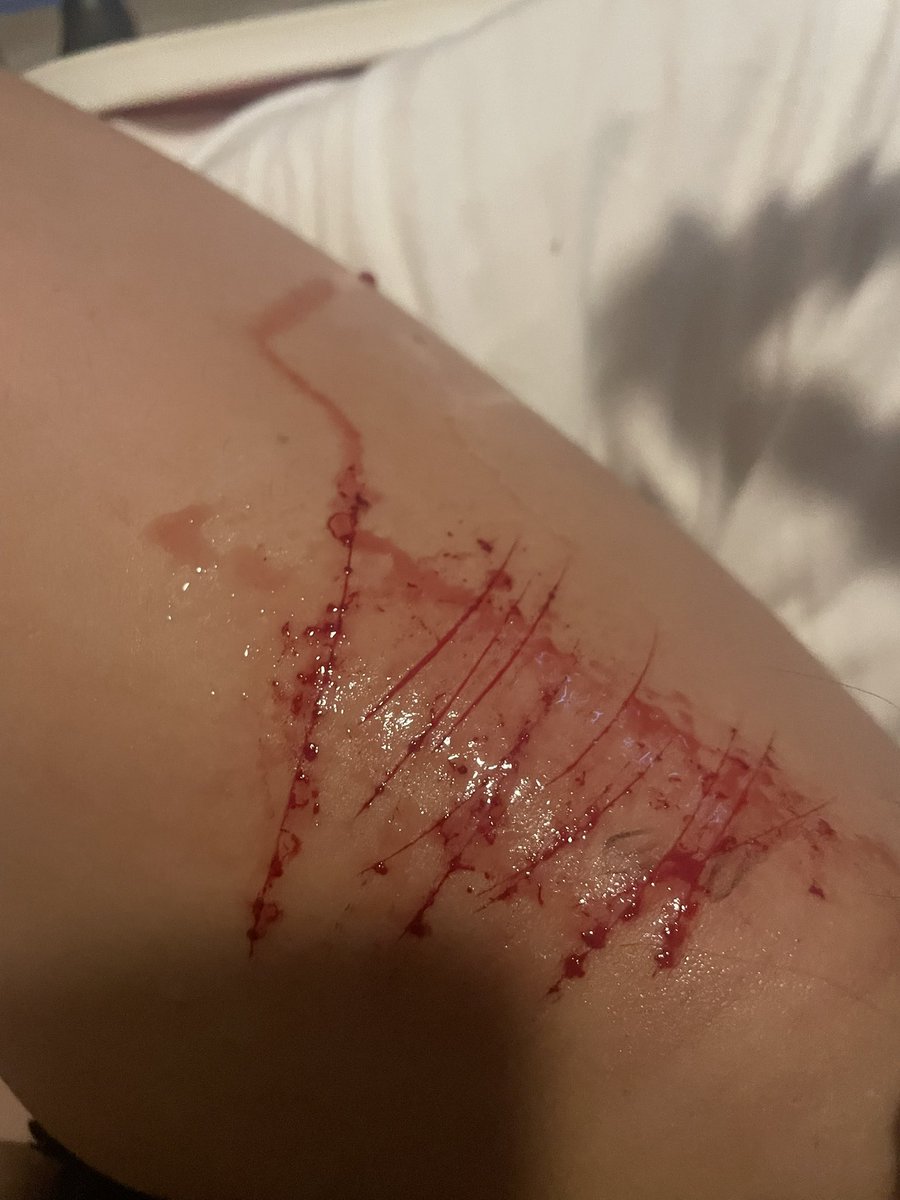 val_www2811's tweet photo. @Cookiecrumbbun1 What are my cuts? https://t.co/rPEgsljxRp