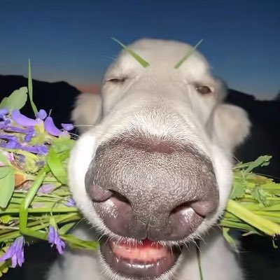 _56vdne's tweet photo. #NewProfilePic https://t.co/yfSIsBZRyu