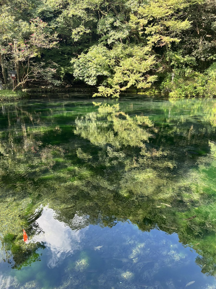 otakesan1115's tweet photo. 出流原やっぱりいいね！ https://t.co/G6O19a6vHe