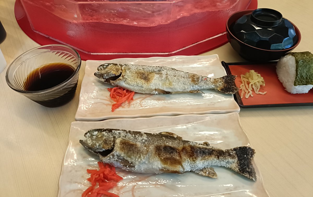 sousei765's tweet photo. 1泊2日で白水館に行って参りました

白水館自体には何回か宿泊した事はあるのですが行くのも約20年ぶり&amp;離宮は初めて

往復道中、小田さんのアルバム流しながら

温泉&amp;食事も含めて最高すぎました
やはり鹿児島で一番オススメしたい旅館です

久々の唐船峡(鱒の塩焼きあと3匹食べたかった) https://t.co/9kLvKldiYV