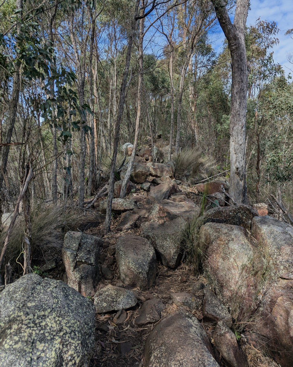 longjohnsilvrrr's tweet photo. Really just climbing mountains in my spare time https://t.co/riPaPPhCWo