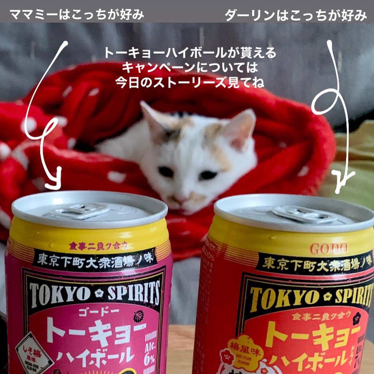 MarniCrosskds's tweet photo. 何事も基本設計を見直すと、思いがけない発見があってちょっとワクワクするんだよな。 https://t.co/mSemqcSQ7I