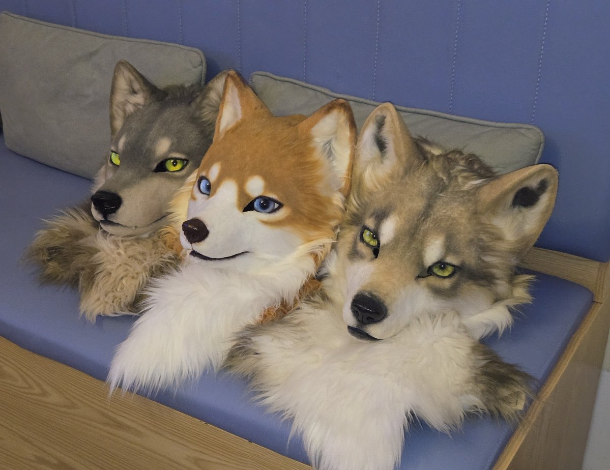 SellyWolf0203's tweet photo. 🐺✖️🐶✖️🐺 https://t.co/oy0xyPE6zr