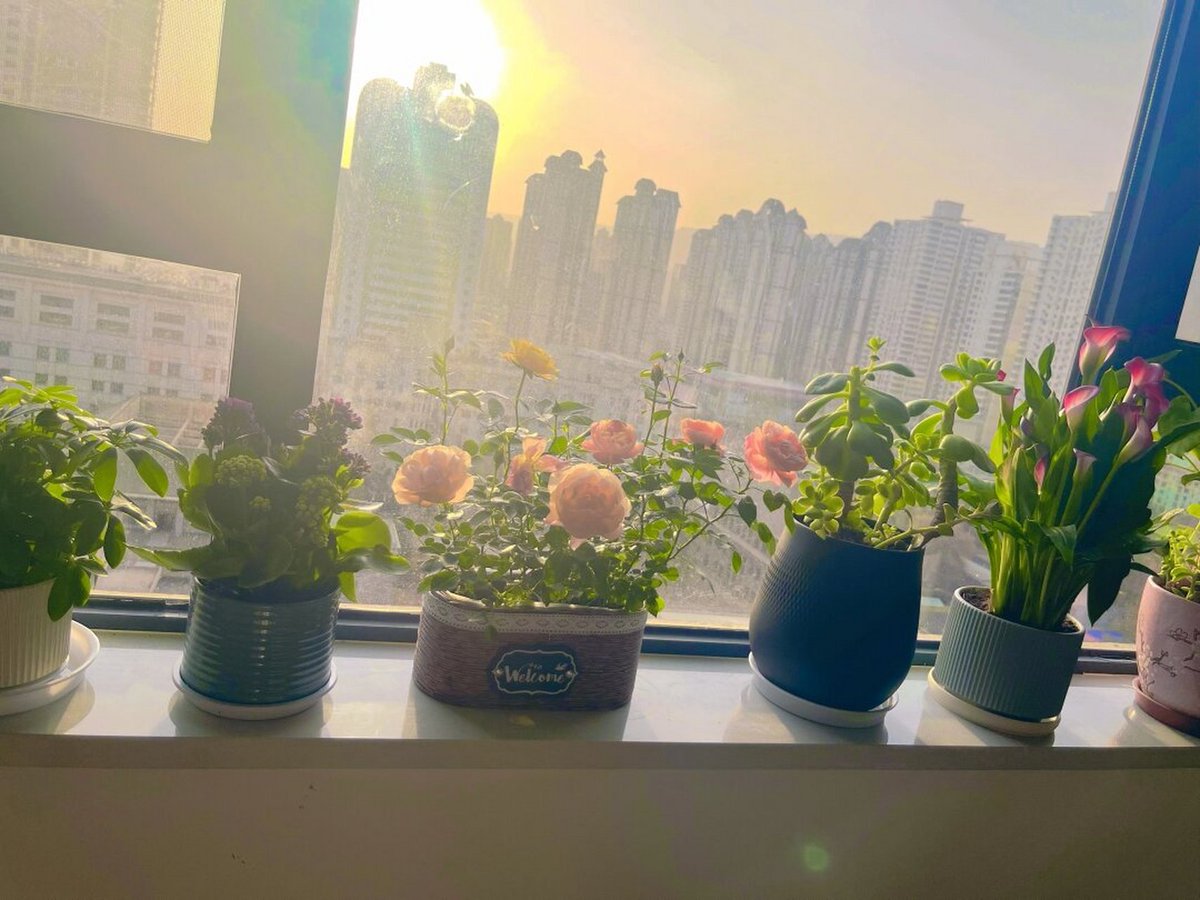 nzCjsWHI4z3dEh8's tweet photo. Shaking off the stench of stagnant vibes, I got that glow-up—self-discipline hits different when you let your true self lead the way. https://t.co/TChsJpszRO