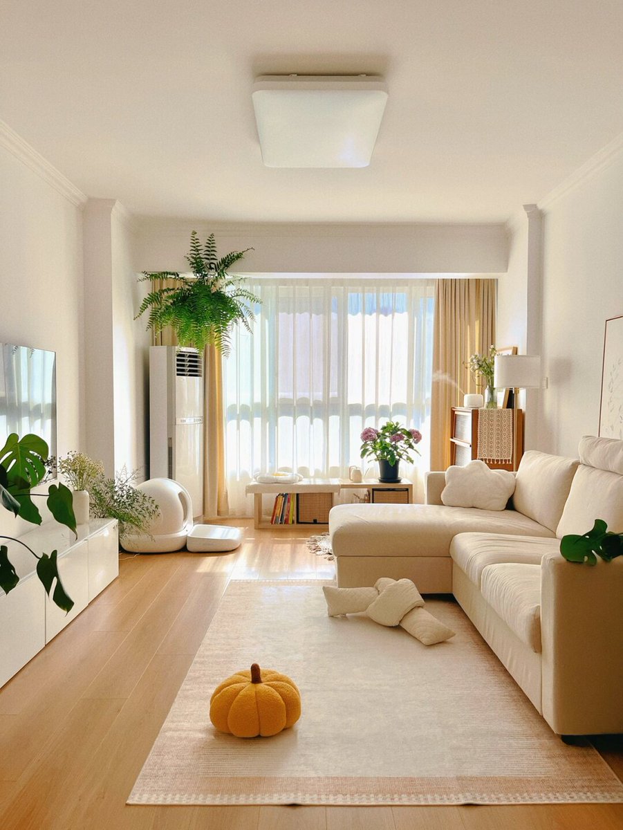FreeAces9lu's tweet photo. Just turned my cluttered living room into a cozy spot—mopped the floor and folded the laundry in 20 mins, small win that hits different. https://t.co/kxV0V5TjBO