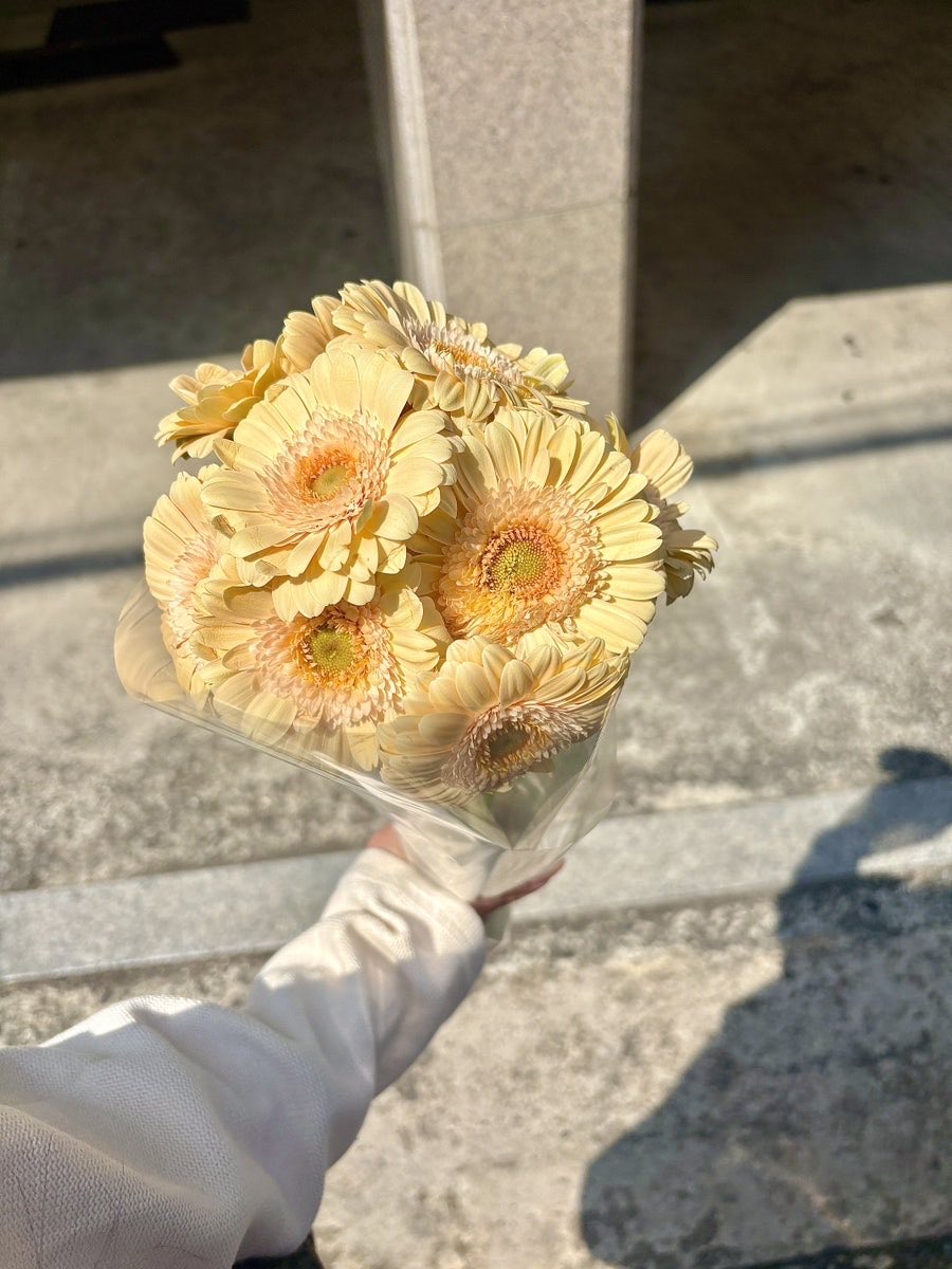 Mipqqed's tweet photo. 언니 만났고.. 언니가 꽃 선물 줬어요!!!! 오랜만의 꽃 선물이라 정말 행복해요 🌼🥲 https://t.co/R5dWTYjZyU