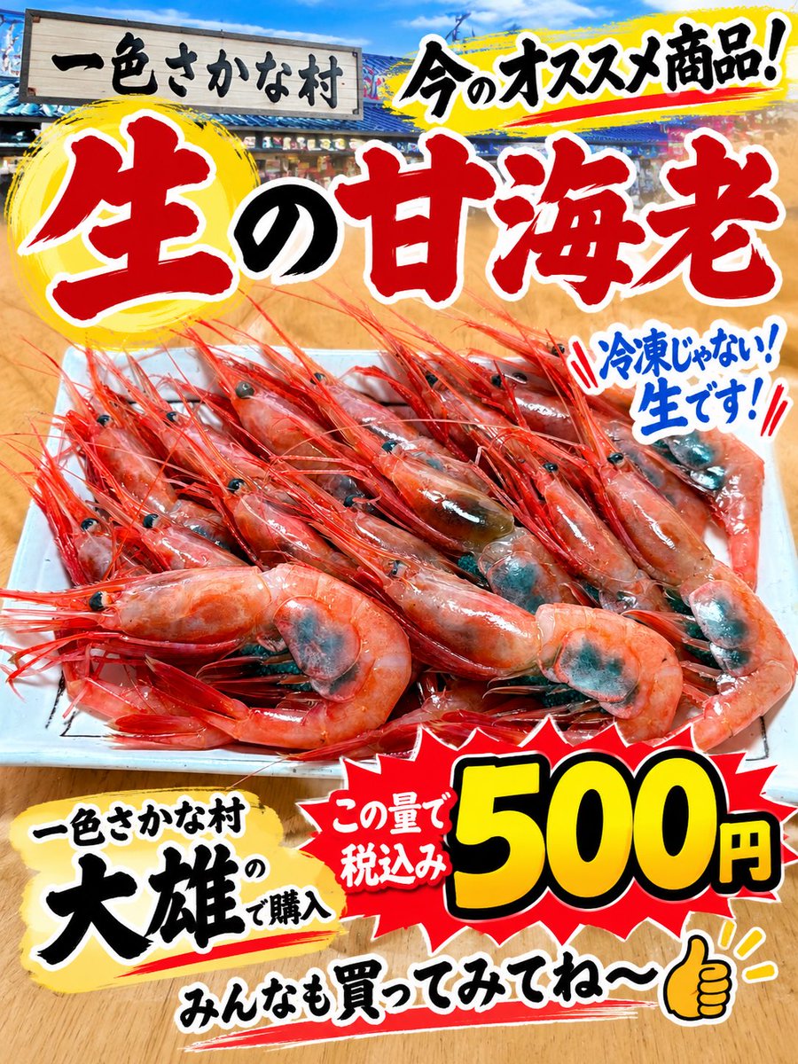 uoken_youtube's tweet photo. 一色さかな村『大雄』で購入した『生の甘海老』これは絶対買った方が良い🤩
写真はうおけんの購入した『生の甘海老』
販売状況は最新動画で公開中▶️

うおけん（YouTube）
https://t.co/4Hs15UFPtt

うおけん直送便（公式LINE）
https://t.co/k9tj9DgZJD https://t.co/Yebf6cj3G5