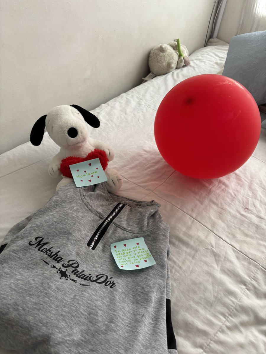 dannaaafr's tweet photo. llegar a mi casa y encontrarme esto, estoy perdidamente enamorada 💘 https://t.co/COIehtuNgP
