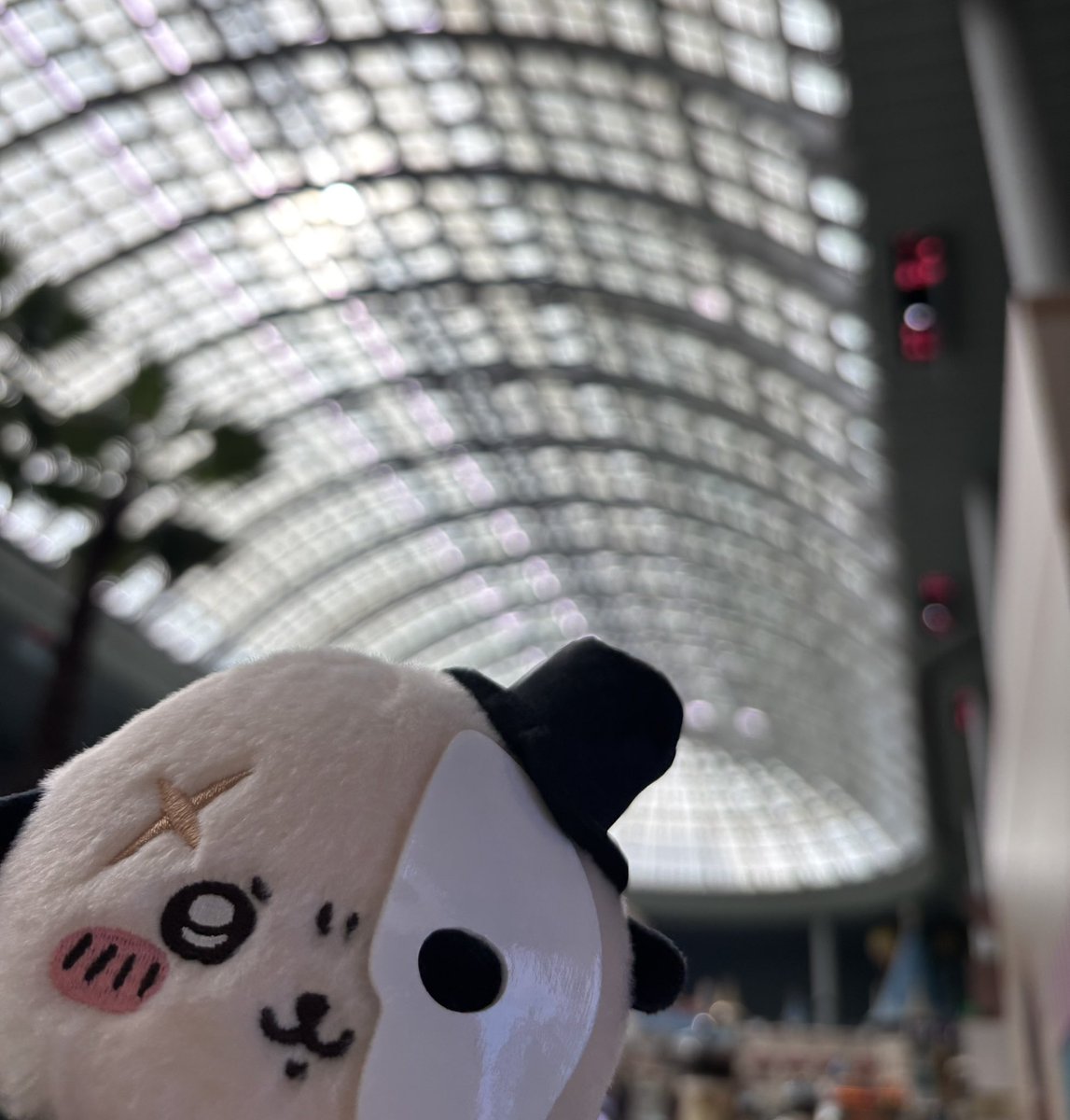 sweiryyk's tweet photo. 롯데월드왓어요 https://t.co/gr2z2FiG9A