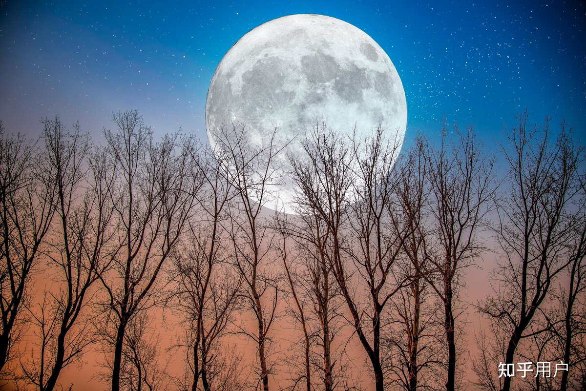 BrightRidercps's tweet photo. Adjusting your sleep Small steps work! Try going to bed 15 mins earlier each night, waking up at the same time daily, and ditching screens 30 mins before bed. Your body will thank you for the healthy routine. #SleepWell #HealthyHabits， https://t.co/lSXtAhtEat