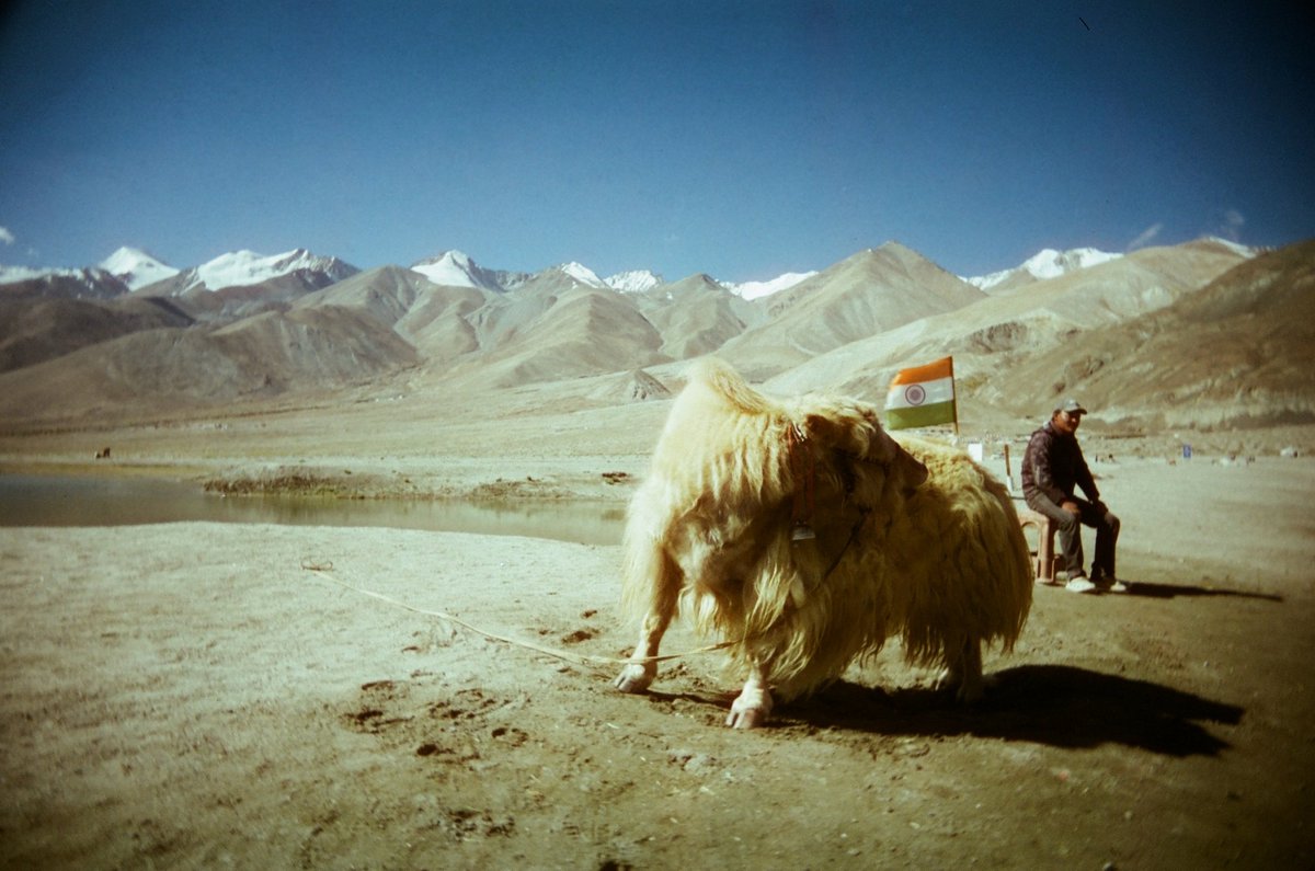 Schnappiggg's tweet photo. Pangong lake https://t.co/e1KeQuzecX