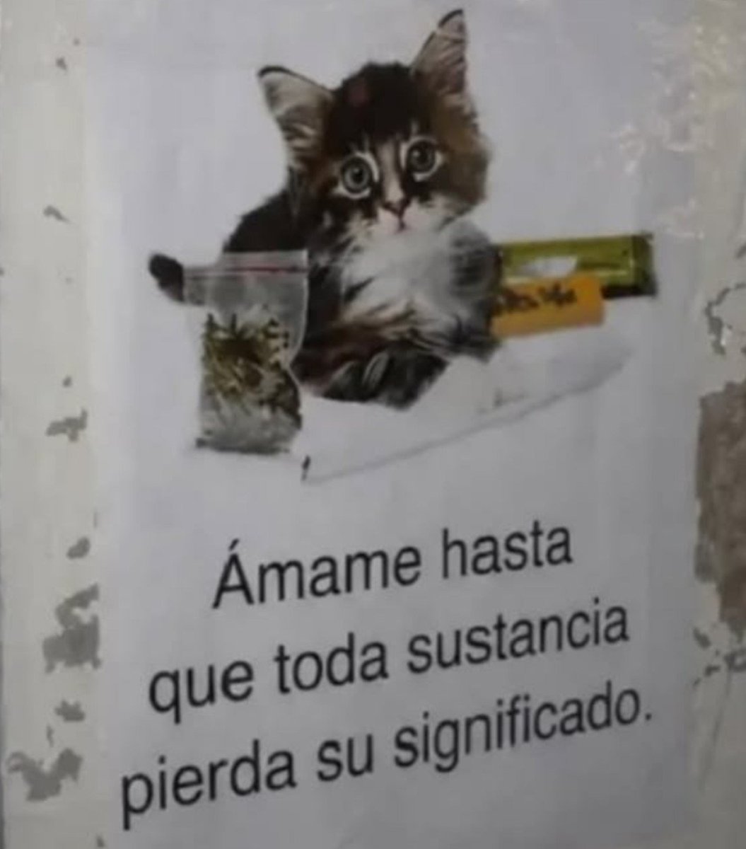 Mateosebas3tvo's tweet photo. https://t.co/72prQjt3Jl