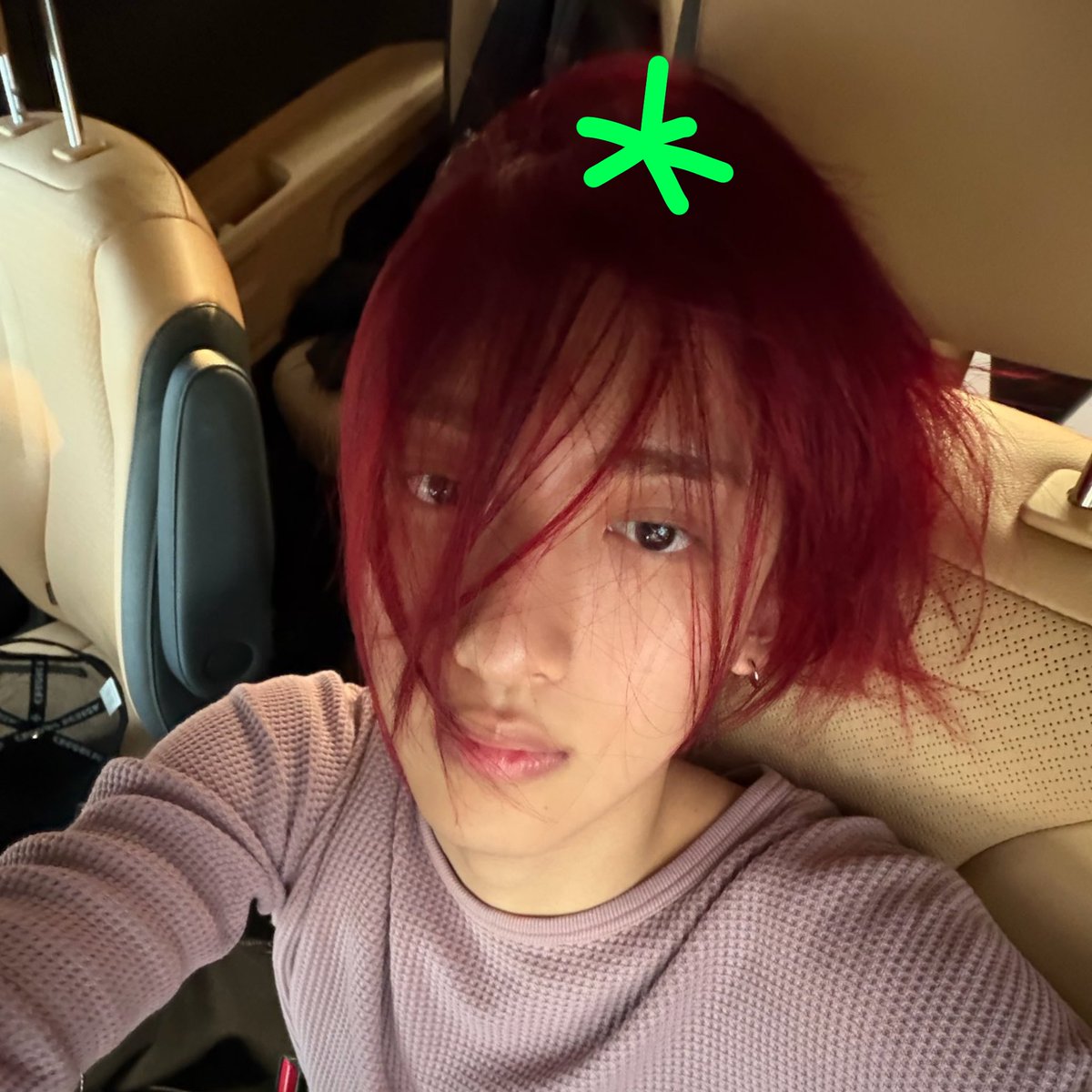 wpffle_'s tweet photo. cantik paripurna https://t.co/8L9JMaPVNQ