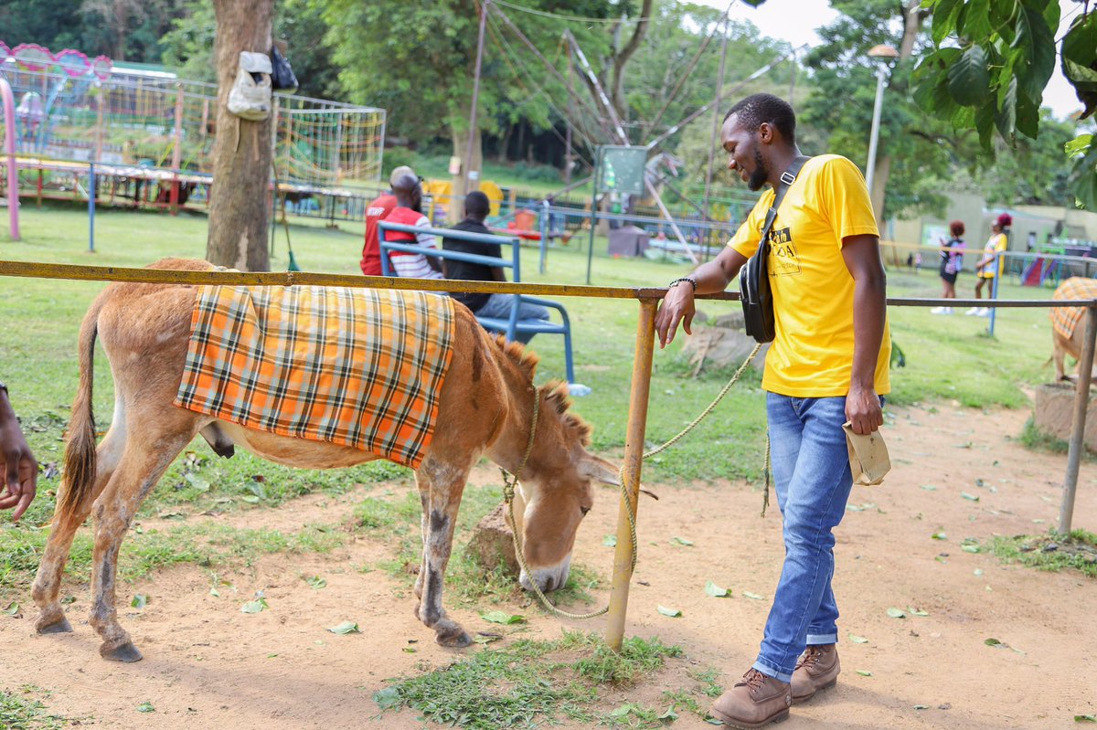 MarvinTheGuide's tweet photo. Good Morning Uganda 🇺🇬 

If you sat on this donkey 🫏 at the Zoo during your primary school trips, you are supposed to be a parent by now.😂😂😂 https://t.co/U1DpEPiX1F