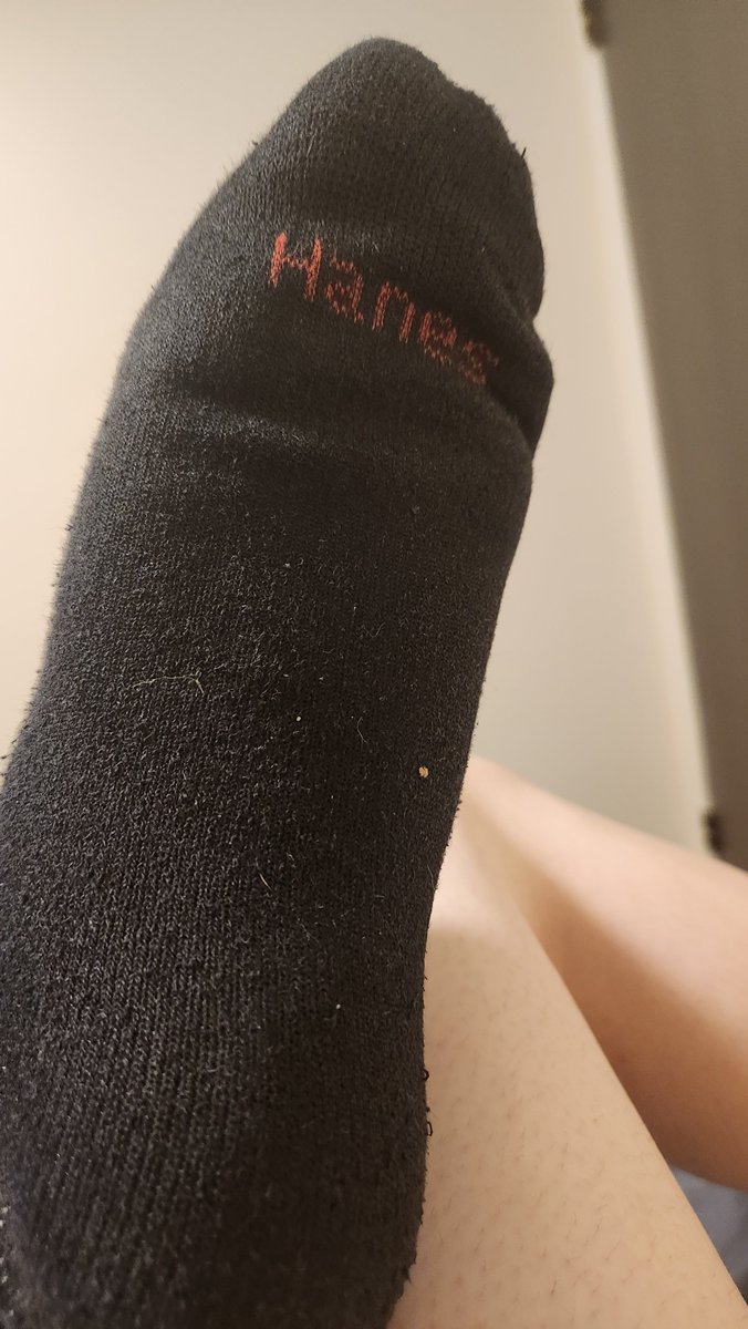 PawsOfJackson's tweet photo. They're just soooo sweaty :3 https://t.co/DZvTmRqOIw