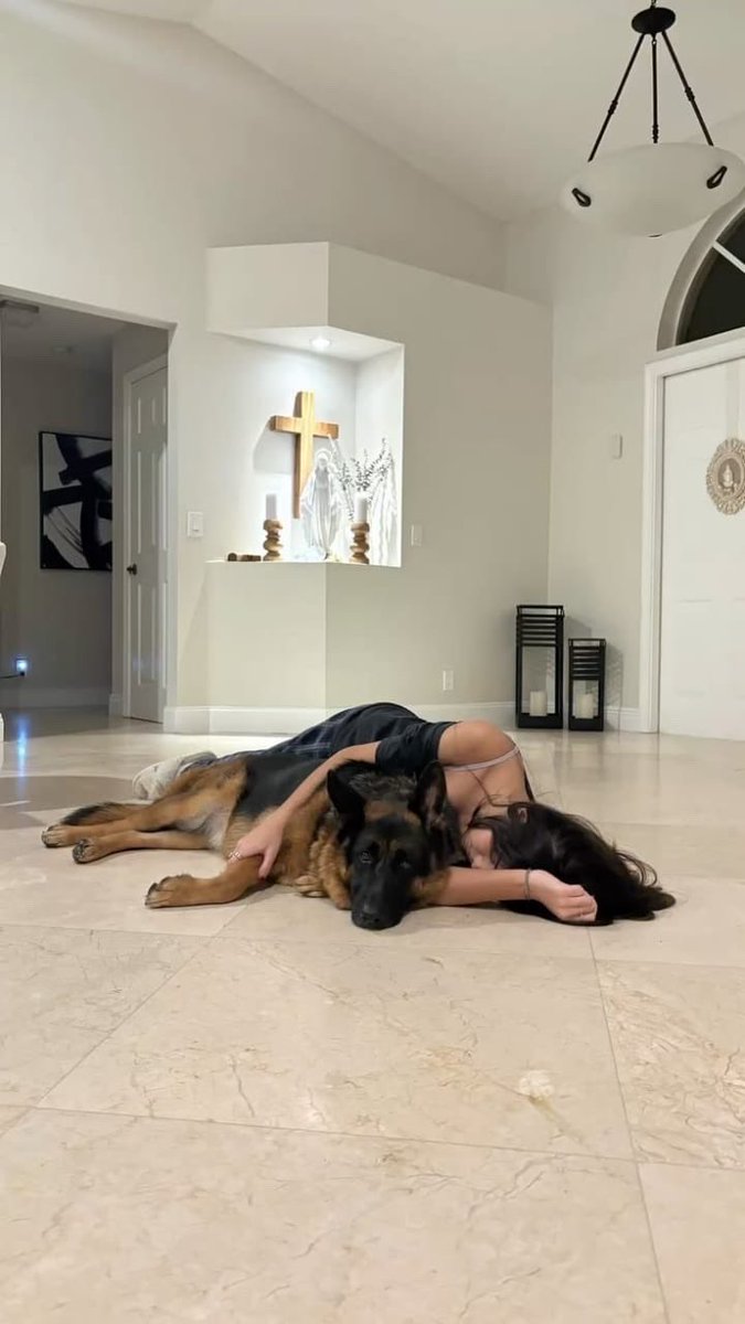 Flinthsw7h's tweet photo. Soft picture.
Real version: me stuck on his knot, shaking, and taking every drop.
Link in bio
#dogs #K9 #USA https://t.co/9BXpkTj1G1