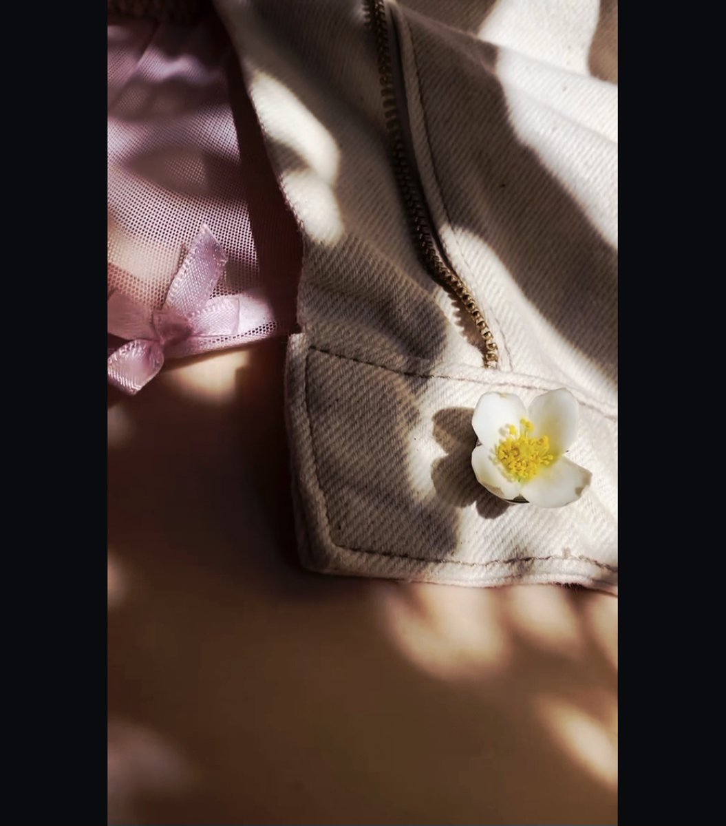 sofrodri66's tweet photo. 🌸 https://t.co/sCxWvHqMBH