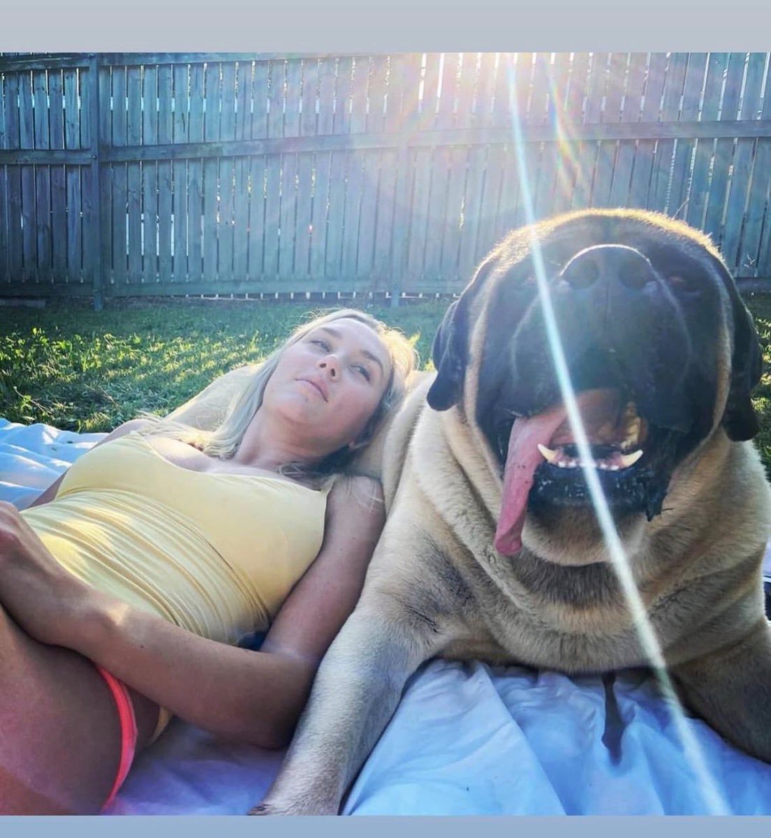 Blessinglx0's tweet photo. The timeline stops here.
The real session continues in private.
Link in bio
#dogs #K9 #USA https://t.co/fhxLcR1RDx