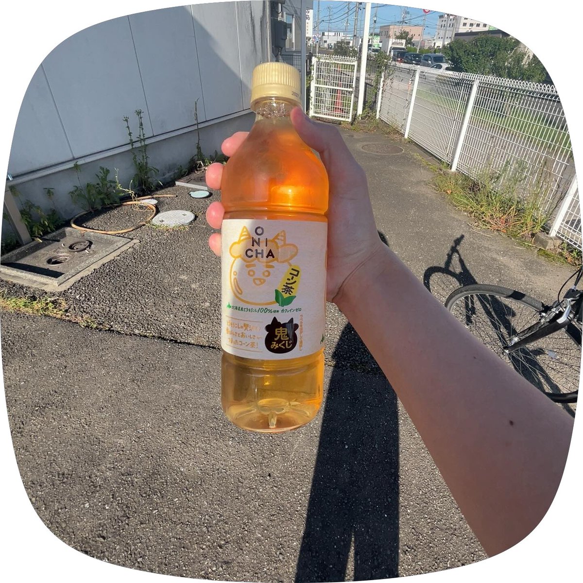_0908mituki's tweet photo. コーン茶飲みました 匂いめっちゃとうもろこしで好きあと口の中に一生とうもろこし残ってる   美味しい https://t.co/NpuM05cC2S