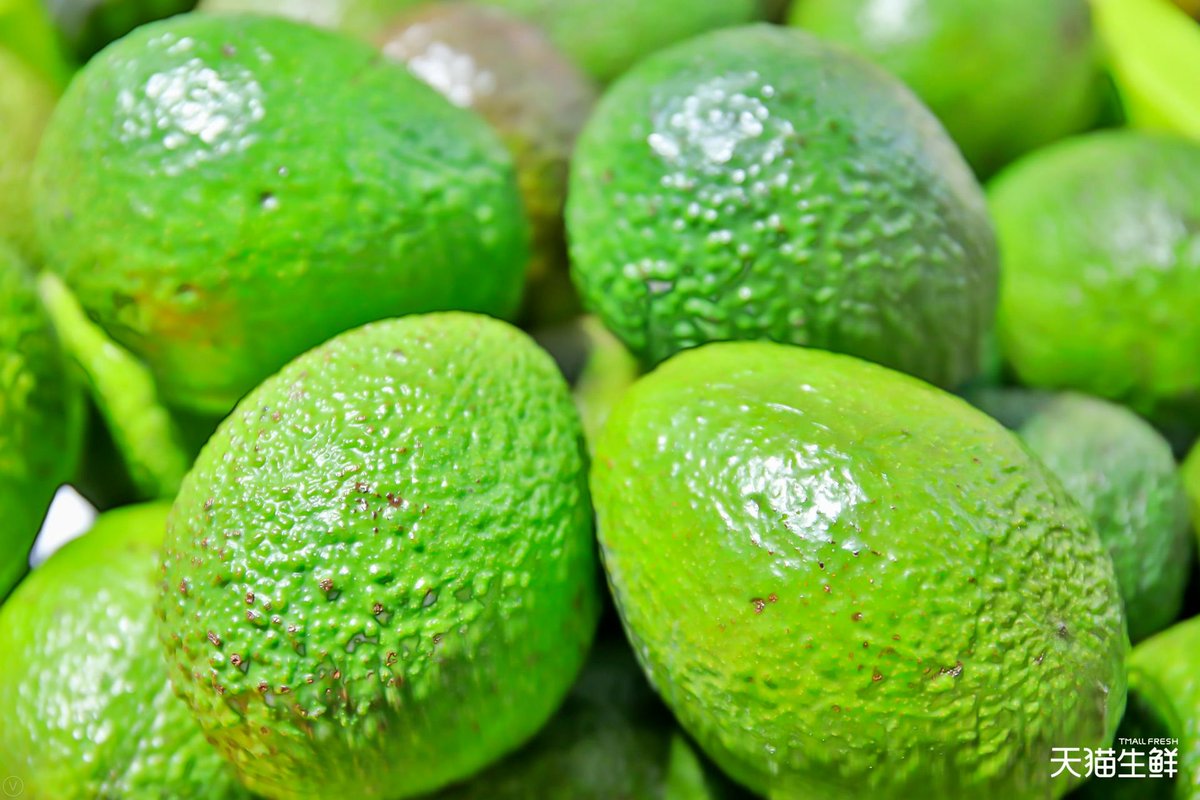 Richmanz6fie's tweet photo. Aguacate mexicano: cremosidad inigualable, sabor dulce y 100% fresco. Perfecto para tostadas o guacamole. No te lo pierdas!， https://t.co/XZcGnisbja