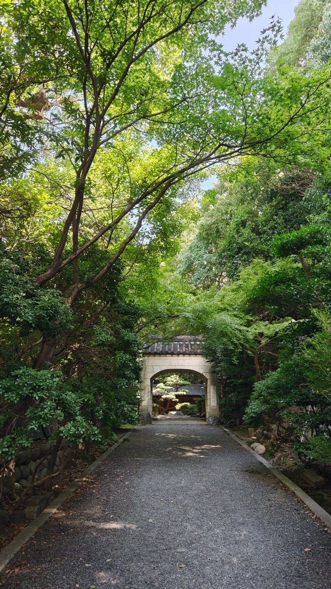 168bluestar's tweet photo. 木漏れ日が差す参道

桃巌寺
26.10.3 https://t.co/rc7vmsH7zD