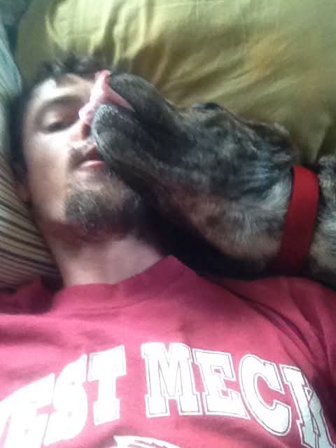 ELMAGAIN's tweet photo. My love-dammit girl. ❤️
This is Zammis.
She is 17 years old.
She was my brother Zac's girl. Zac was a Purple Heart combat veteran, and when he came home from Iraq, not all of his wounds were visible. He struggled with PTSD, and Zammis helped him in ways I don't think anyone will ever fully understand.

She was his companion. His comfort. His constant.
This little brindle girl helped save my brother in so many ways.

But she was never just Zac's dog to me. I loved her, and she loved me too.

In 2014, I took one of Zac's favorite pictures of her. I had taken Zammis, my dog Bailey, and my parents' dog Fig out into Bogue Sound at low tide to play. I caught her running through the water toward me.
She looked like she was flying.

I haven't seen Zammis in three years.

She's an old lady now. Her beautiful brindle face has gone gray. She recently had a stroke, and they didn't think she was going to make it.

Tonight, I walked through the door.

She knew me.

There was no hesitation. She crawled into my lap right there in the doorway and loved on me.

Three years, and my girl knew exactly who I was.

Later she walked away from me. I asked my stepdad if he still used her old commands. I already knew the answer before he told me no.

Zac was the one who taught me to use “place” with dogs. I carried that with me and taught it to my own dogs.
So I looked at her and said:
“Zammis. Place.”
My 17-year-old girl turned around, came straight back to me...
and placed herself right back in my lap.

She knew.

She heard a language from another part of her life. She remembered who loved her. And she remembered who she loved.

I hope tonight wasn't the last time I'll get to love on her. I hope I get another visit. But she's 17, and I know what that means.

So if it was our last time, I will carry this with me:

In 2014, young Zammis came flying through Bogue Sound toward me.

Tonight, that sweet old body couldn't fly anymore.

So she crawled into my lap instead.

My love-dammit girl. ❤️

Thank you for loving my brother.

Thank you for staying beside him when the war followed him home.

Thank you for remembering me, sweet baby.

I remembered you, too. 🐾🪶❤️