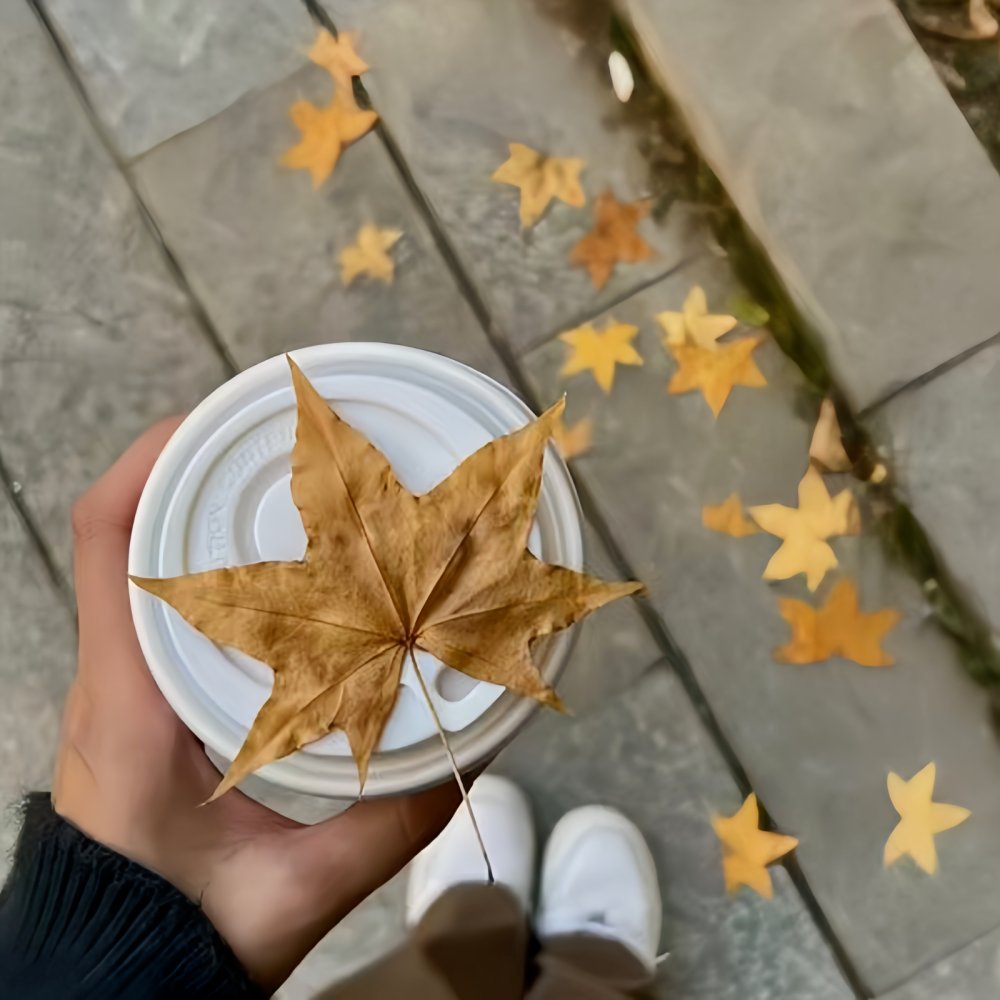 JuneCurryux's tweet photo. El otoo ha llegado, con hojas doradas y un aire fresco perfecto para un café caliente. https://t.co/gICnxDoRTi