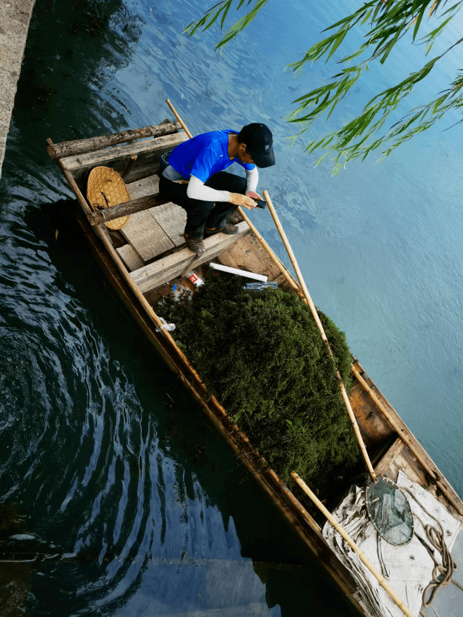 ilideum1's tweet photo. By the wooden boat in the cabin, I hold the oar, sip rice vinegar near the bamboo flute—what a quiet afternoon! https://t.co/Apsk0kqA1g
