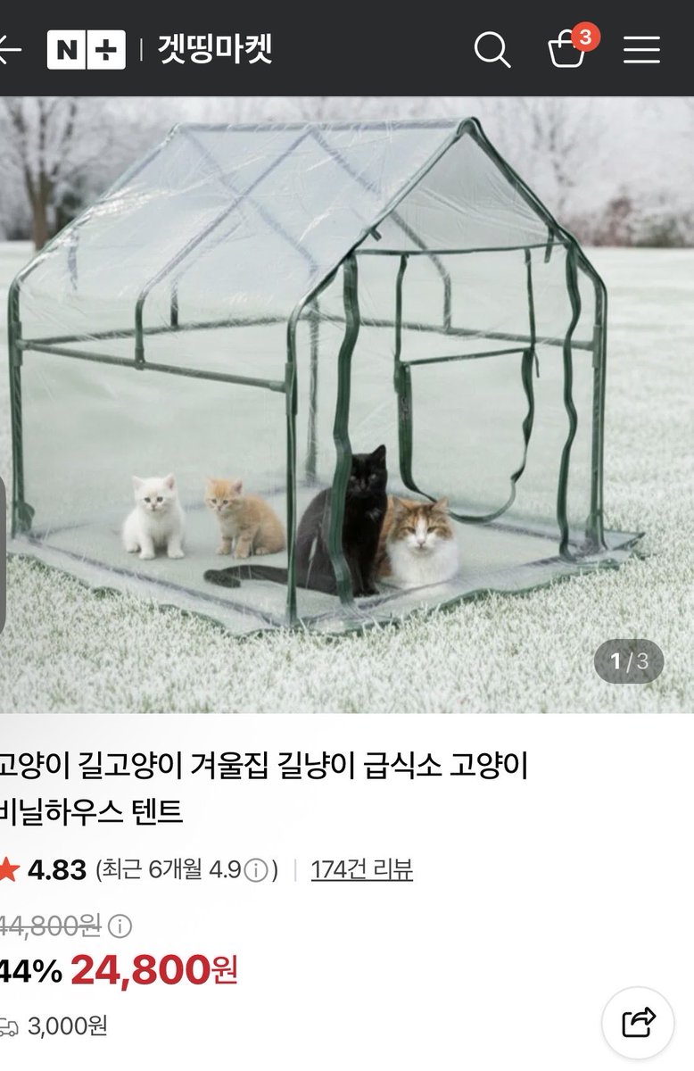 hsn518catcat's tweet photo. 🆘 겨울집 후원 간절히 부탁드립니다🙏
제가 밥을 챙기는 곳만 30군데가 넘습니다.
 사실상 모든 곳을 놓치지 않고 챙기다 보니, 올겨울 아이들이 추위에 떨지 않고 지낼 수 있도록 놓을 수 있는 밥자리 근처에 겨울집을 마련해주려고 합니다.
특히 산에 있는 아이들은 바람도 많이 불고 기온도 낮아 겨울이 오면 정말 걱정이 됩니다.
3개월령 아가들과 5개월 아가들도 있어요..
 작년처럼 추운 겨울을 또 보내야 하는 아이들에게 따뜻하게 몸을 숨길 수 있는 공간이 꼭 필요합니다.
📍 겨울집이 필요한 곳
🌲 산에 있는 추운 지역 → 3번째 사진 5개 🌲 고보협 겨울집 → 5개
🌲비닐천막 큰거 → 큰 사이즈 2개 ‼️ 학대지역 및 다른 밥자리 → 17개 🐱 쉼터 앞 → 3개 

➡️ 현재 필요한 겨울집만 최소 30개 이상입니다.
겨울집만 필요한 게 아닙니다. 겨울집 안에 넣어 아이들이 조금이라도 따뜻하게 지낼 수 있도록

🧱 단열재 🖤 검정색 뽁뽁이(위장막) 🌾 볏짚 등 보온재 🪵 바닥 매트
이런 물품들도 함께 필요합니다.

제가 밥을 챙기는 곳이 많다 보니 한두 곳만 챙겨서는 해결되지 않는 상황입니다. 가능하신 분들께서 겨울집 하나라도, 또는 단열재나 뽁뽁이 하나라도 보태주시면 정말 감사하겠습니다.

겨울집 하나가 아이에게는 추위를 피할 수 있는 생명줄이 될 수 있습니다.
사람의 도움 없이는 겨울을 버티기 힘든 길 위의 아이들입니다. 이번 겨울만큼은 아이들이 차가운 바닥에서 떨며 잠들지 않도록함께 따뜻한 보금자리를 만들어주세요. 🐈‍⬛❤️