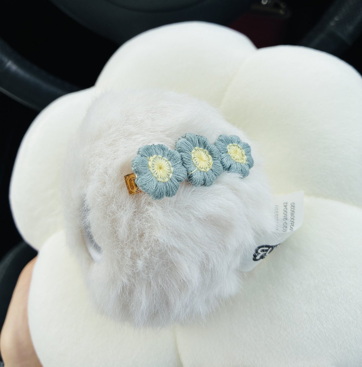 0824saku2's tweet photo. バッチリ白のクッション手に入れてきた！
可愛いヘアクリップもつけてあげたけどあまり目立たないwしっかりサクのご機嫌も直ってよかった😌
そして私は可愛い古着をゲットした‼️
#フゾゾ https://t.co/wEDbDKhLLb