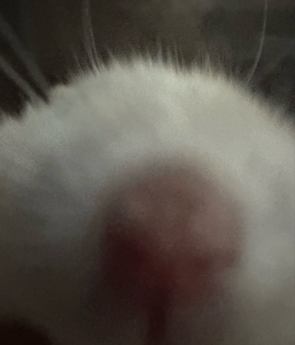 ZWI1l11I's tweet photo. 킁킁 킁 킁킁
킁 킁 킁킁킁   킁킁
킁킁 킁킁 킁킁 킁
킁 킁킁
킁킁킁킁킁 킁 킁
킁킁 https://t.co/cCZ8yAERvf