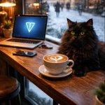 Photo by MITTENS | Telegram’s Cat (@Mittenstonchain)