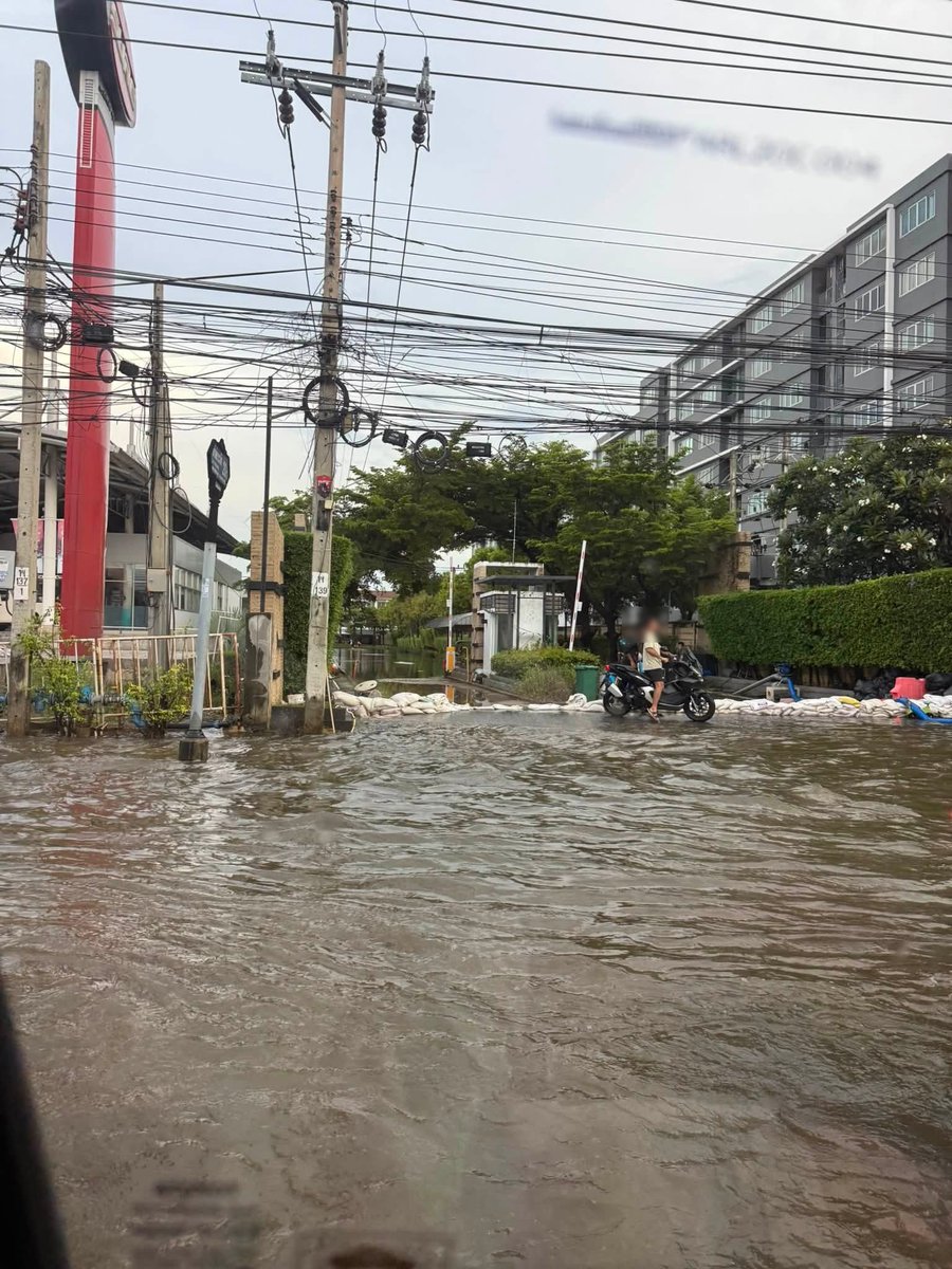 js100radio's tweet photo. 3 ต.ค.69 เวลา 17.30 น. ระดับน้ำ #ถนนลาดกระบัง บริเวณหน้า D condo ยังสูงเหมือนเดิม #น้ำท่วม 

(Cr. แมว โมโหหิว) https://t.co/ws2v7KzDCc