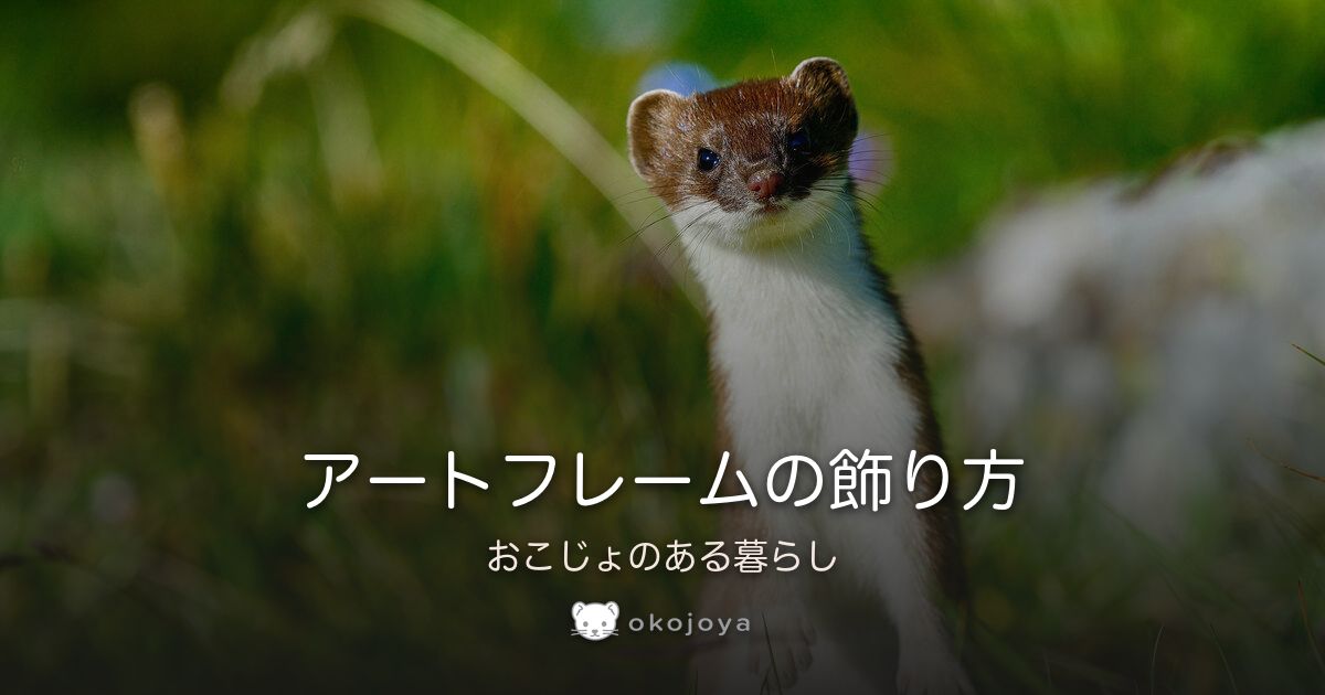 okojoya's tweet photo. 📝 新着ブログ
アートフレームの飾り方。おこじょのある暮らし

おこじょ（オコジョ）のアートフレームの飾り方をご紹介します。

▼つづきはこちら
https://t.co/MbacsHOzej

#おこじょ #オコジョ #おこじょ屋 https://t.co/zmqSs6622H