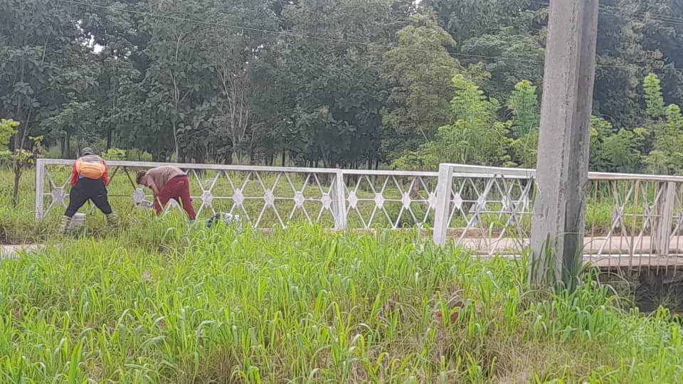 DelJalber7474's tweet photo. Trabajo de mantenimiento a obras de fabrica.....
#Mayabeque 
#DPTMayabeque https://t.co/TCV4rAdmfr